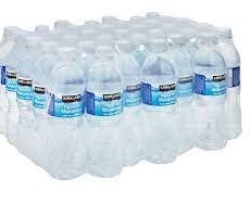 Agua de manantial Kirkland 35 piezas 500 ml.